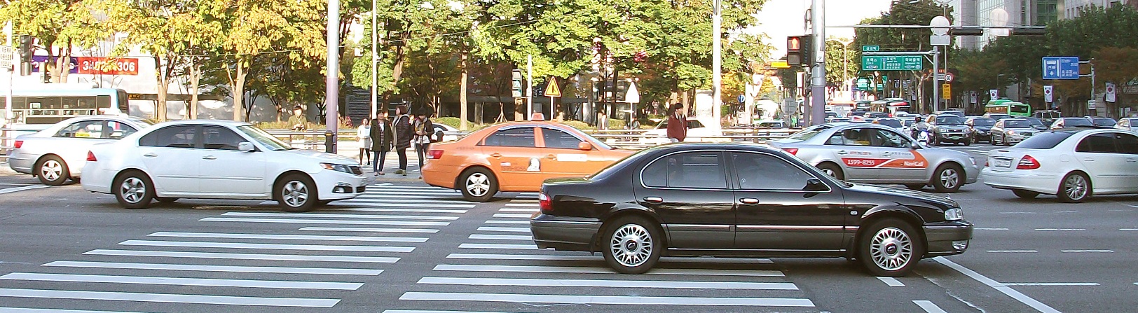 DSCF8839.JPG