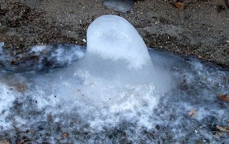 DSCF5231.JPG