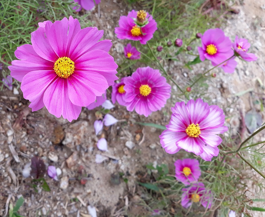 20181009_141403.jpg