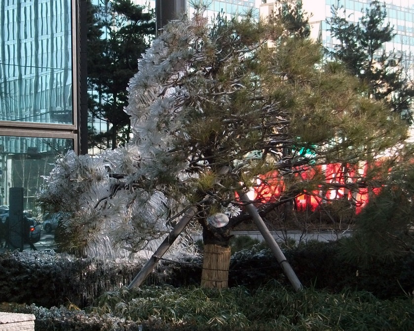 DSCF7156.JPG