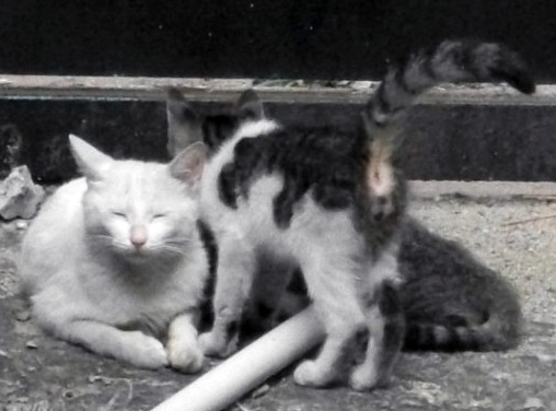 DSCF3090.JPG