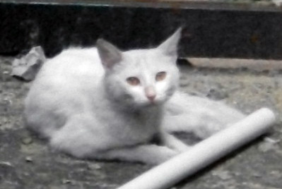 DSCF3087.JPG
