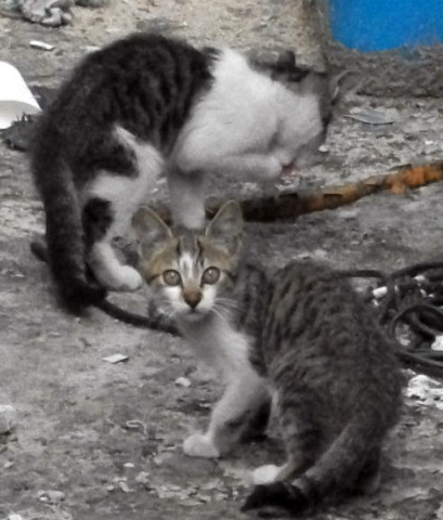 DSCF3088.JPG