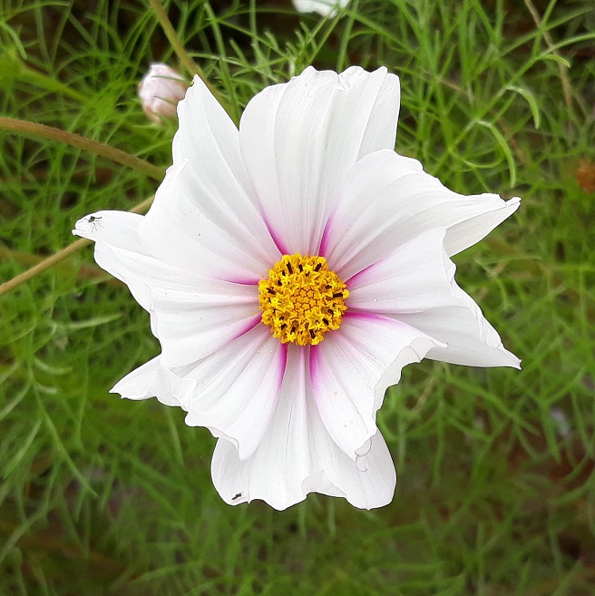 20181009_141441.jpg