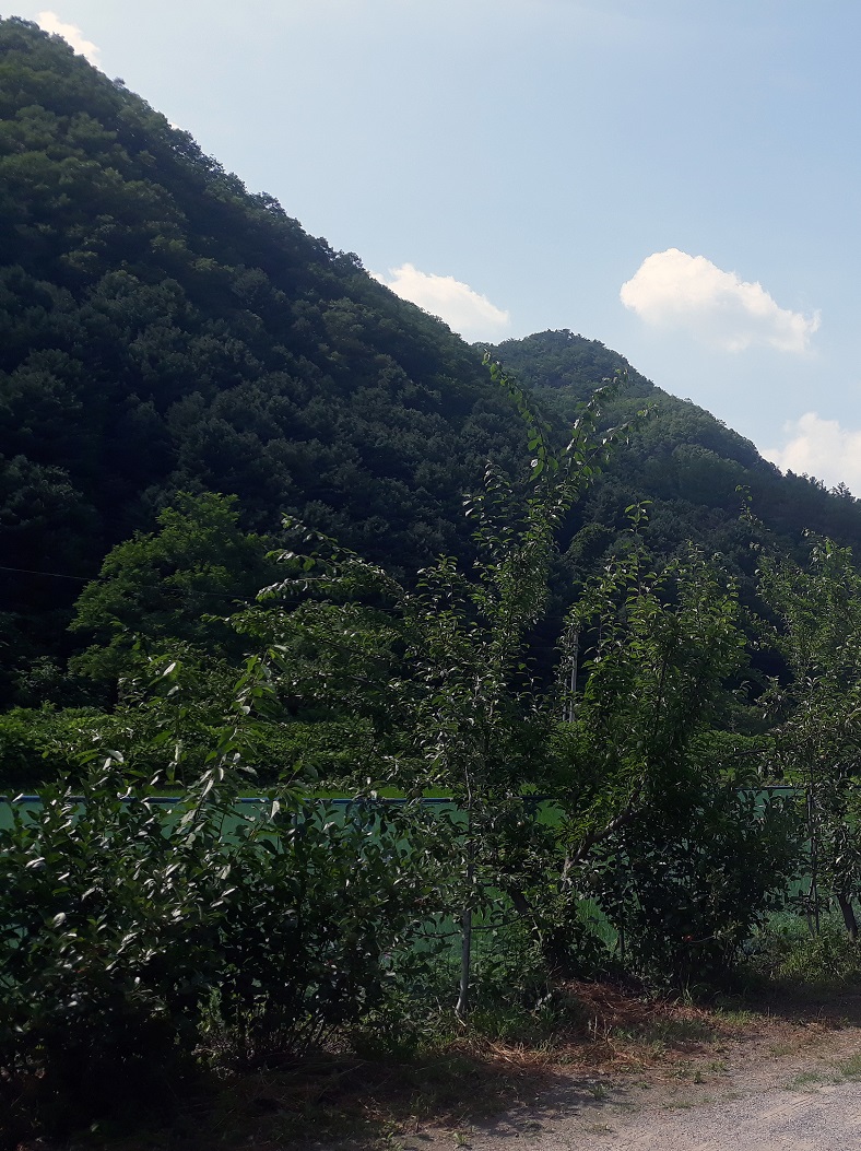 20200709_153044 - 복사본.jpg