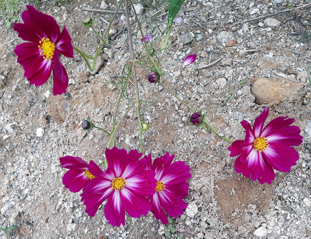 20181009_141826.jpg