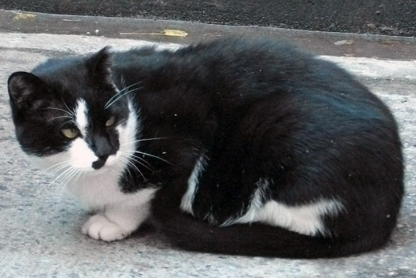 DSCF9525.JPG