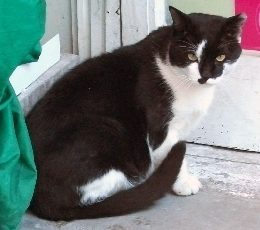 DSCF9526.JPG