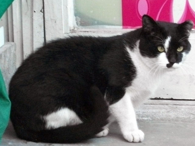 DSCF9524.JPG