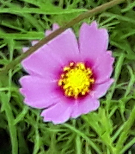 20181009_141929 - 복사본.jpg