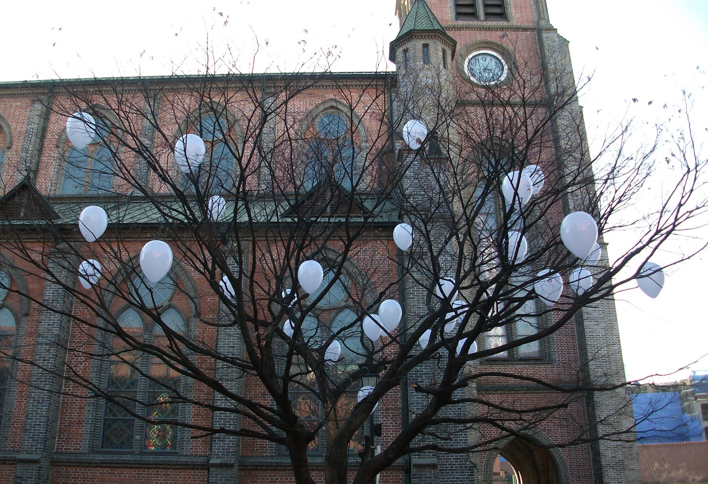 DSCF7148.JPG