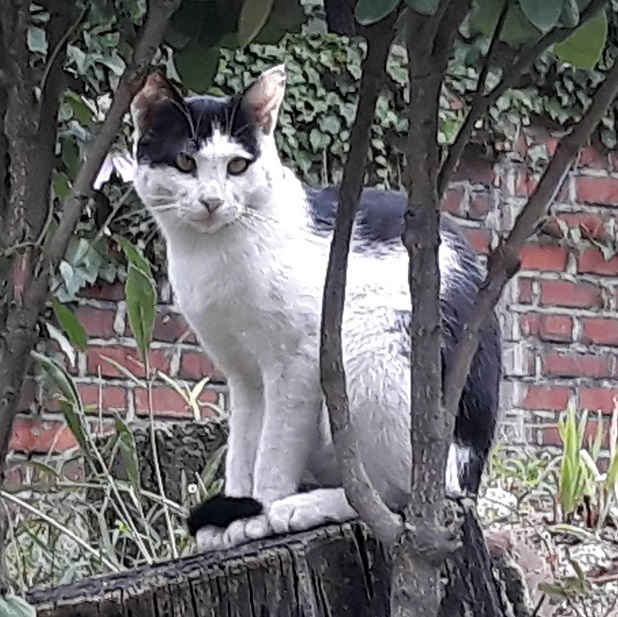 20180826_151543.jpg