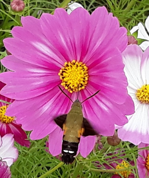 20181009_141929.jpg