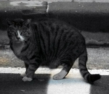 DSCF9539.JPG