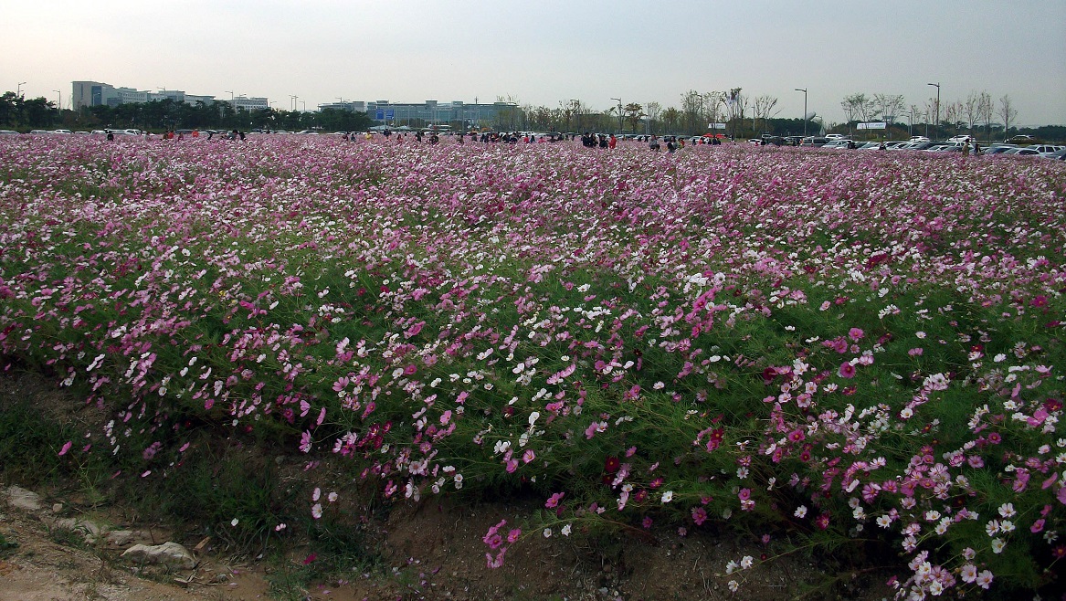 DSCF9063.JPG