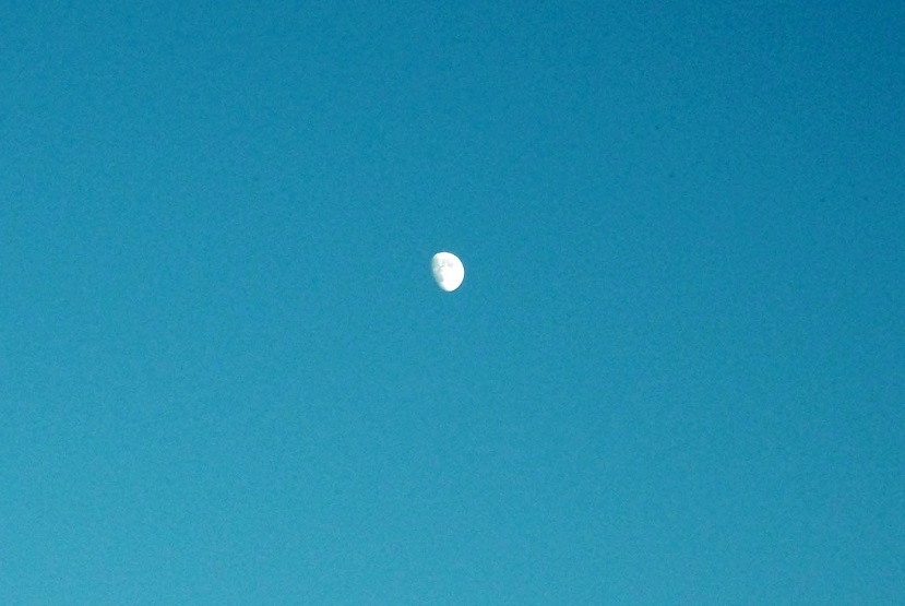 DSCF2883.JPG
