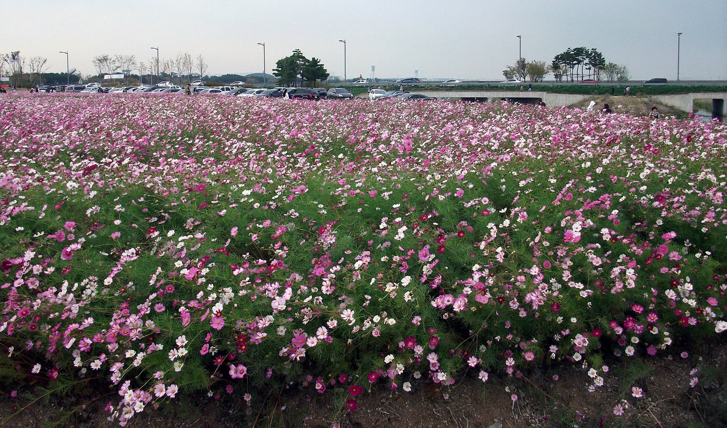 DSCF9064.JPG