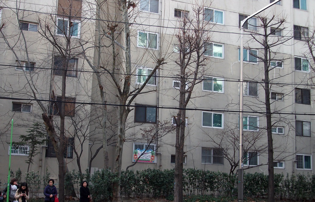 DSCF7579.JPG