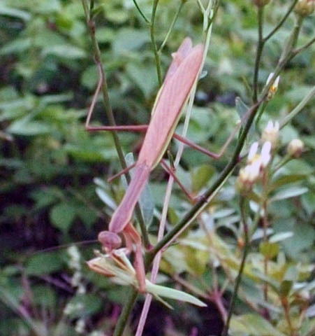 DSCF2882.JPG