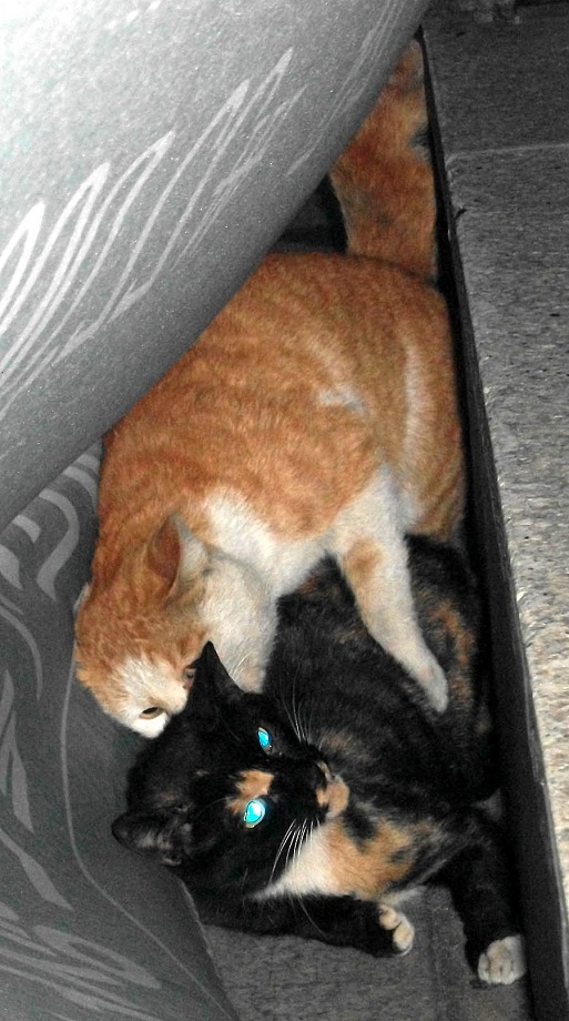 DSCF5839.JPG