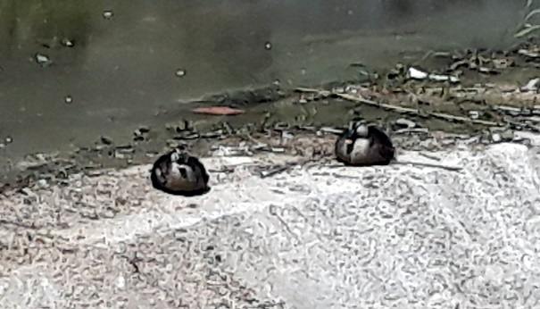 20190505_134051.jpg