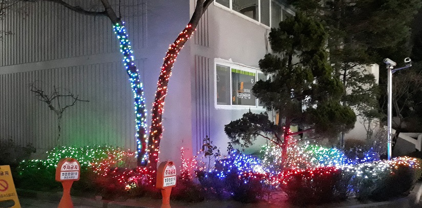 20181211_203759.jpg