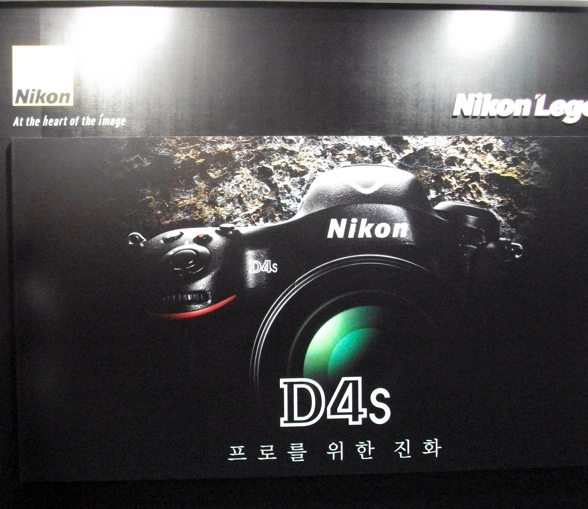 DSCF1038.JPG