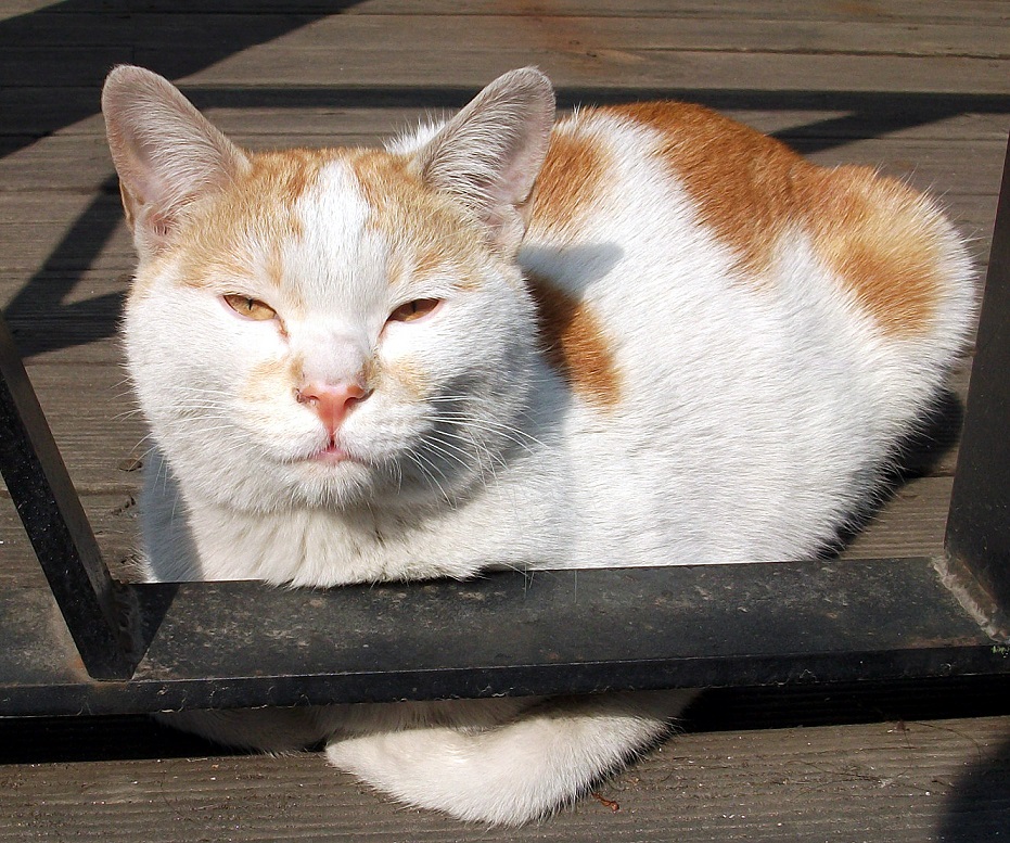 DSCF3531.JPG