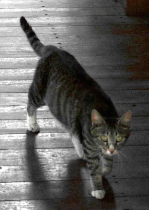 DSCF1234.JPG