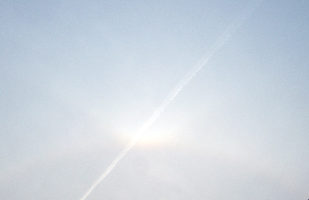 DSCF9206.JPG