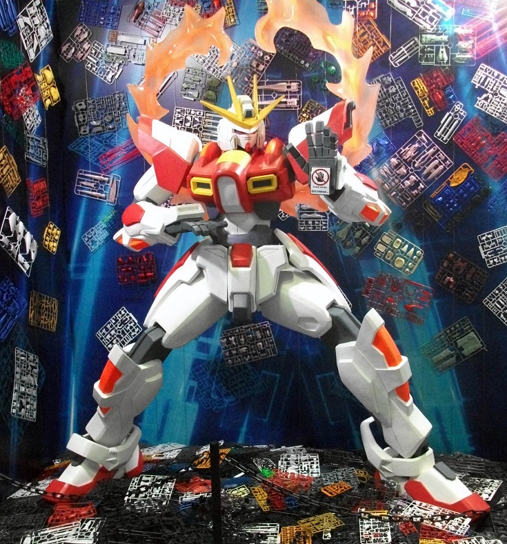 DSCF6645.JPG