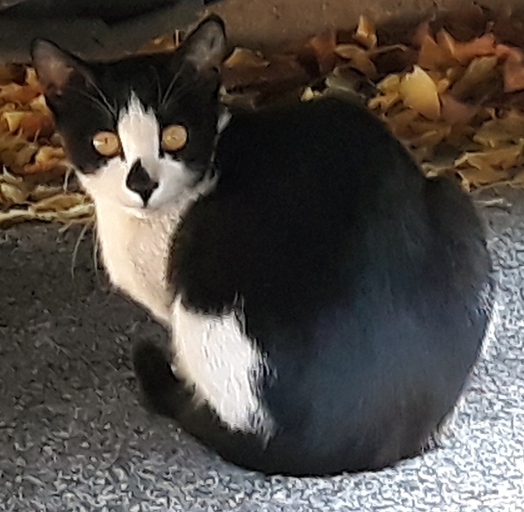 20181105_114241.jpg