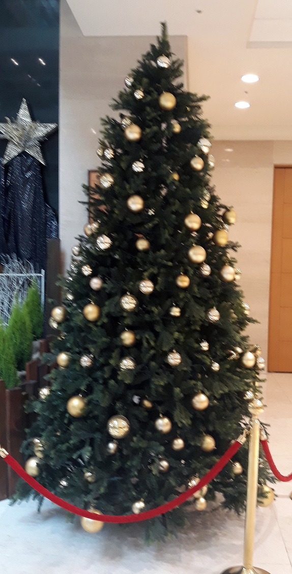 20191127_090655.jpg
