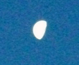 DSCF6076.JPG