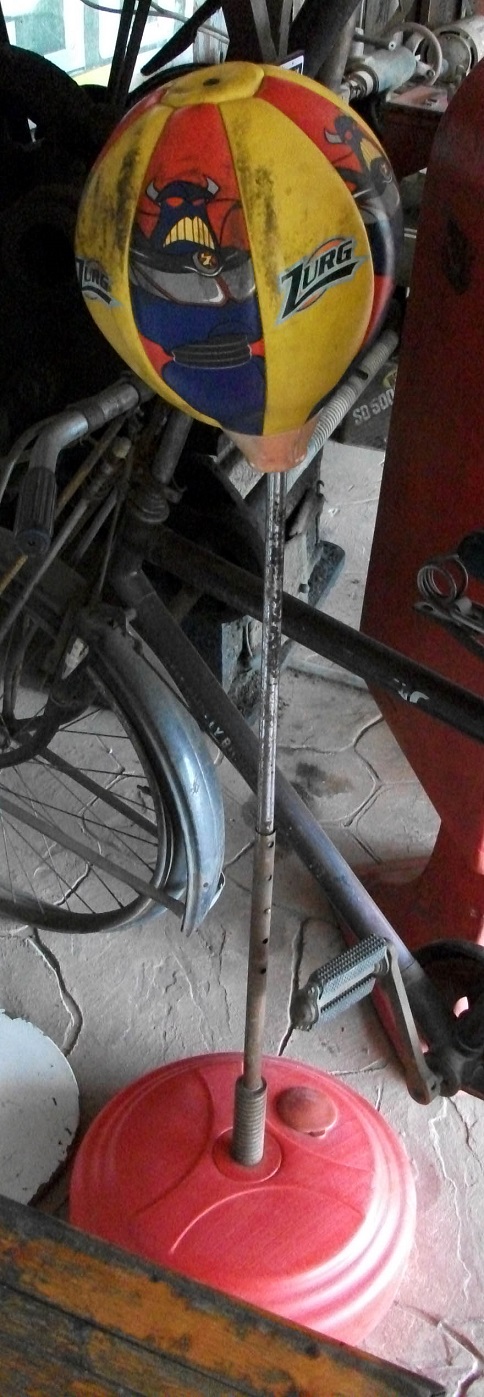 DSCF1256.JPG