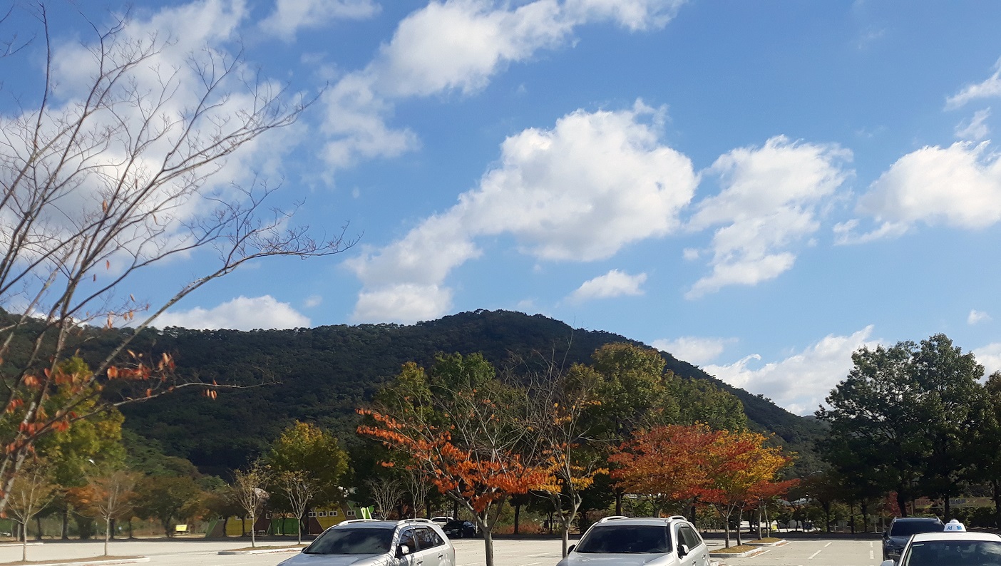 20201023_103555.jpg