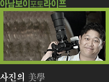 아남보이 포토라이프